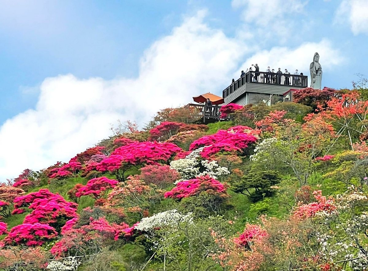 🌸 카사마 철쭉 공원(카사마 츠츠지 코엔) 이미지 1